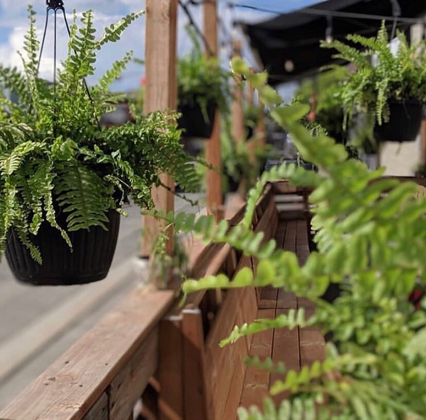 A guide to Sudbury's Downtown Patio Scene Northern Ontario Travel